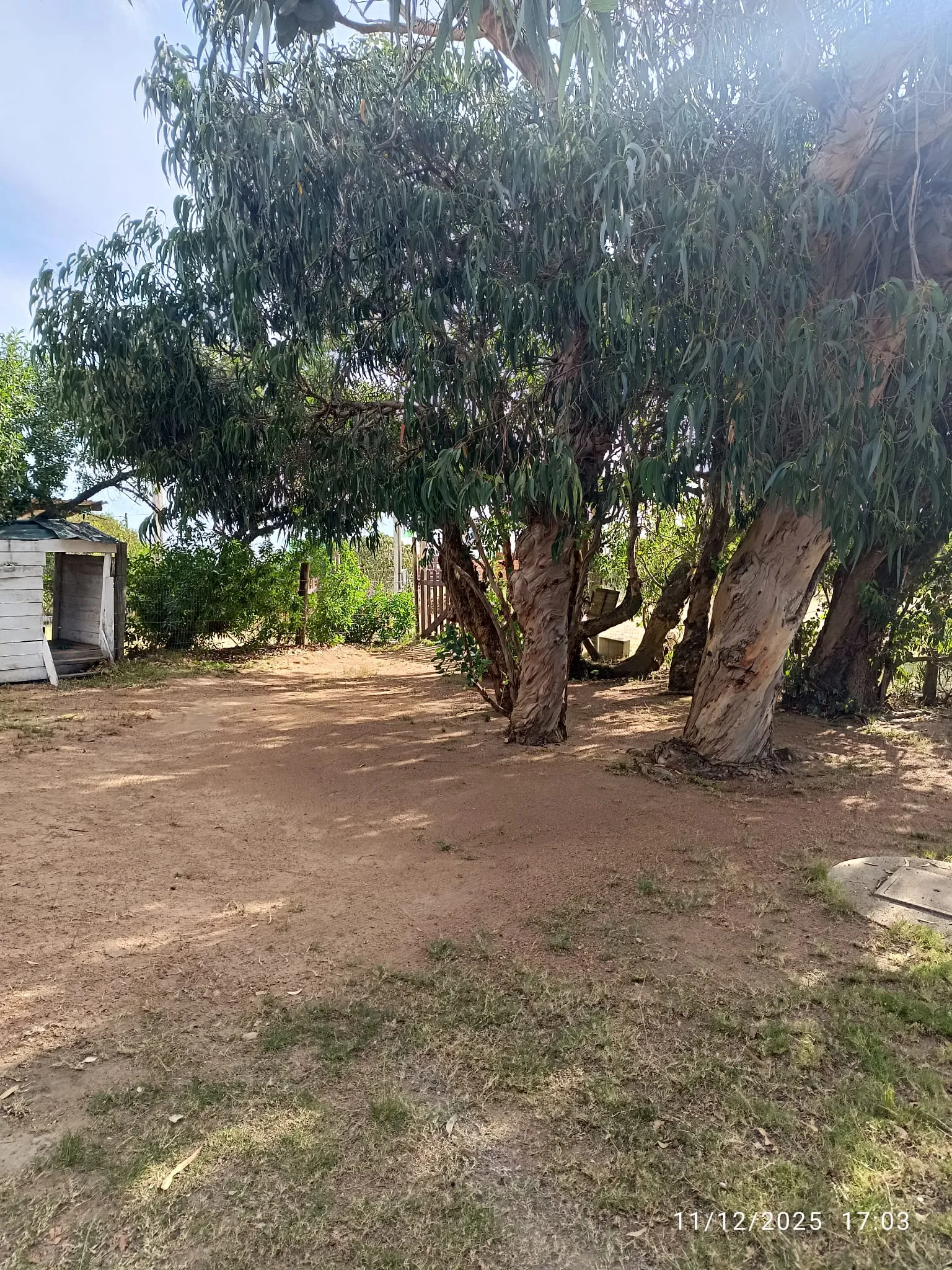 WhatsApp Image 2025-12-29 at 8.34.21 PM (1).webp